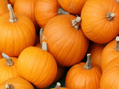 pumpkins pumpkins